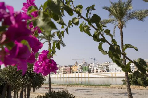 image Vista de Triana, Sevilla