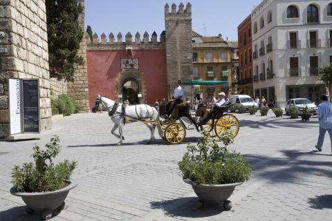 image Calesa con turistas en Sevilla
