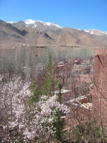 image Almendros en Abyaneh, Isfahán, Irán