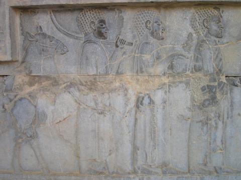 image Relieve en las escaleras hacia la Apadana, Persépolis, Irán