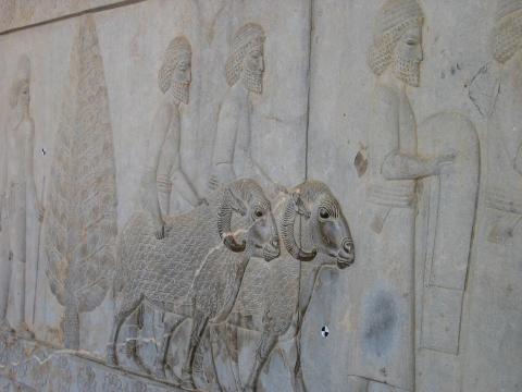 image Relieve en las escaleras hacia la Apadana, Persépolis, Irán