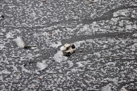 image Restos de la granizada