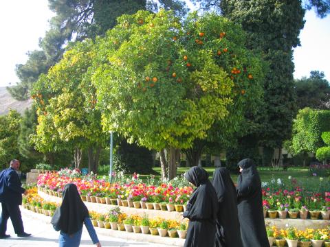 image Jardines junto a la tumba del poeta Sa´di, Shiraz, Irán