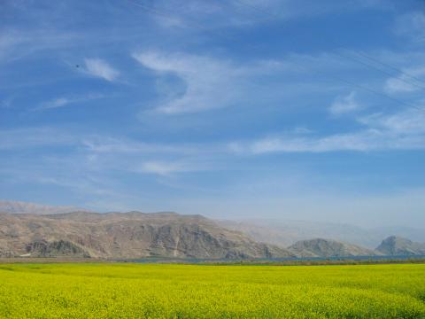 image Campo florido en la provincia de Fars, Irán