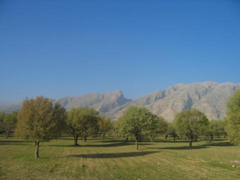image Dehesa en la provincia de Fars, Irán