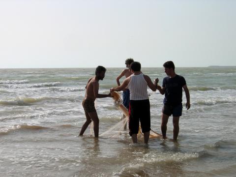 image Pesca local con redes en la provincia de Bushehr, Golfo Pérsico, Irán