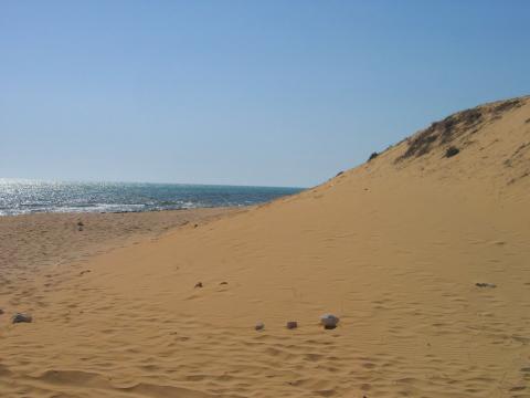 image Playa con dunas en el Golfo Pérsico, Irán