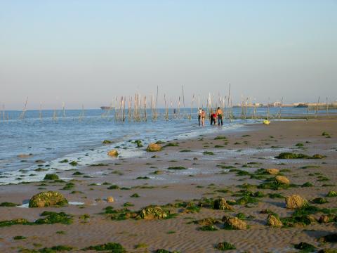 image Playa en la isla de Qeshm, Golfo Pérsico, Irán