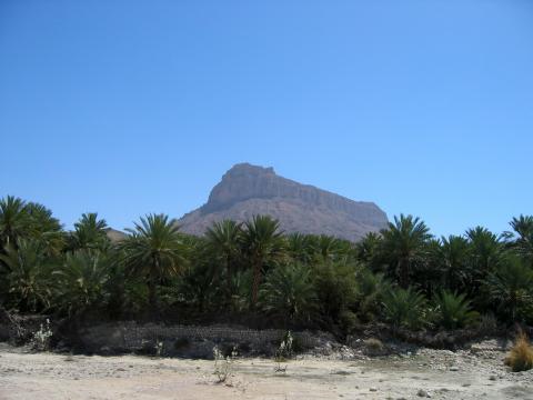 image Oasis en el desierto, provincia de Kermán, Irán