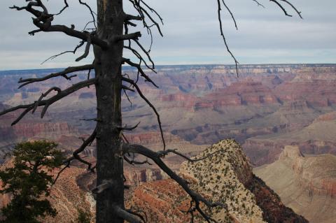 image Vista del Gran Cañón, Arizona, Estados Unidos