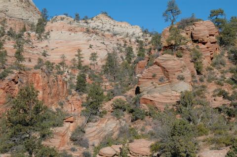image Parque Nacional de Zion, Utah, Estados Unidos