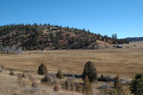 image Parque Nacional de Zion, Utah, Estados Unidos