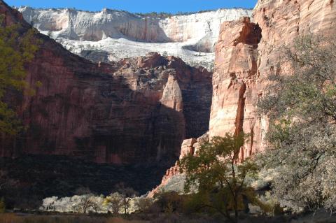 image Parque Nacional de Zion, Utah, Estados Unidos