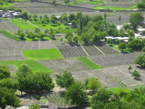 image Campos del valle de Nagar, Pakistán