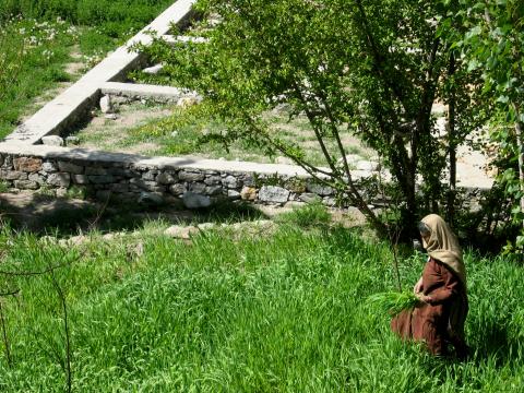 image Mujer recogiendo hierba en Ganesh, valle de Hunza, Pakistán