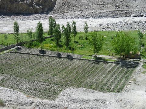 image Campos de cultivo junto al río Hunza, Pakistán