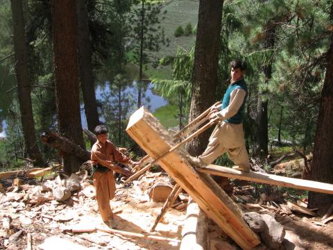 image Cortando madera en Fairy Meadow, Nanga Parbat, Pakistán