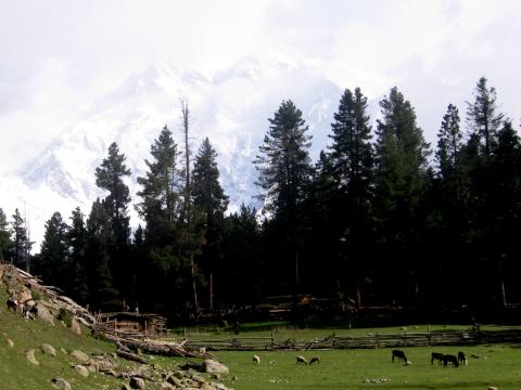 image Nubes cubriendo el Nanga Parbat, Pakistán