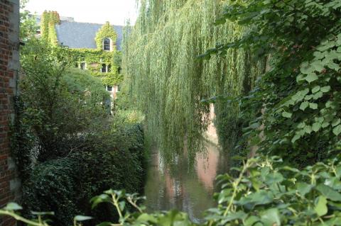 image Groot Begijnhof en Lovaina, Bélgica
