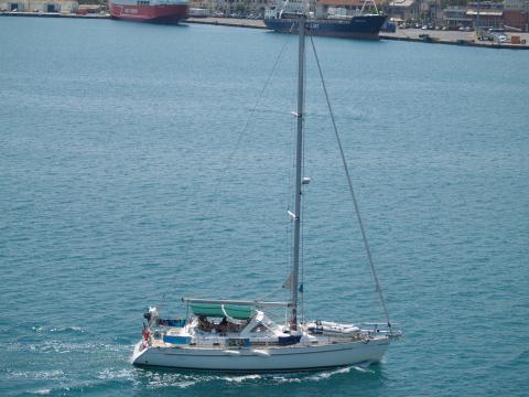 image Velero de un palo