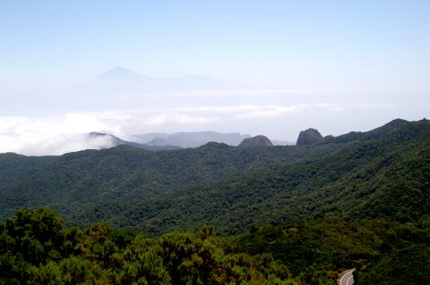 image Parque Nacional del Garajonay, La Gomera