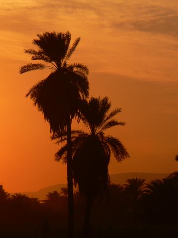 image Atardecer en el Nilo, Egipto
