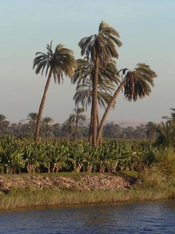 image Valle del Nilo, Egipto