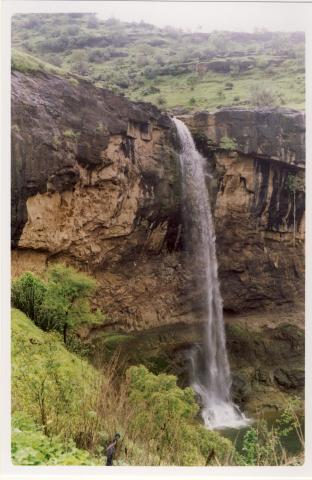 image Cuevas de Ellora, India