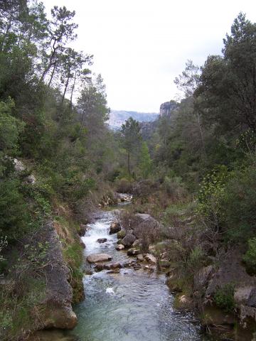 image Río Borosa en la Sierra de Cazorla, Jaén