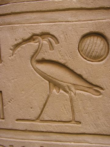 image Bajorrelieve de un ibis en una de las paredes del Templo de Horus en Edfu, Egipto