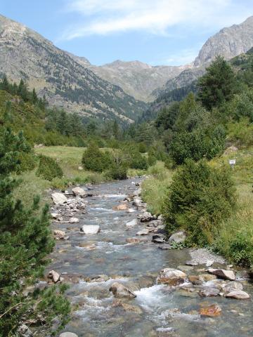image Río de Aguas Limpias, Sallent de Gállego, Huesca
