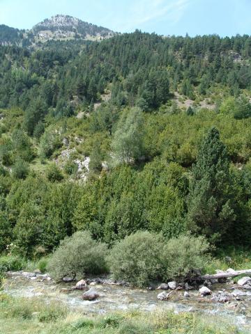 image Paisaje en el embalse de La Sarra, Sallent de Gállego, Huesca