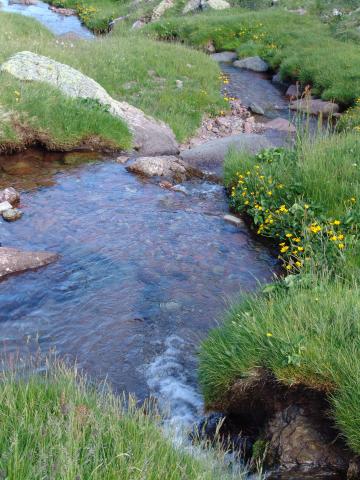 image Arroyo del Furco, Huesca