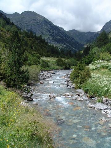 image Curso del Río Aguas Limpias, Huesca