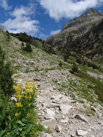 image Camino al Ibón de Respomuso, Huesca