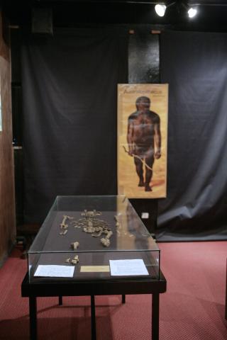 image Esqueleto de Lucy y recreación gráfica, Etiopía