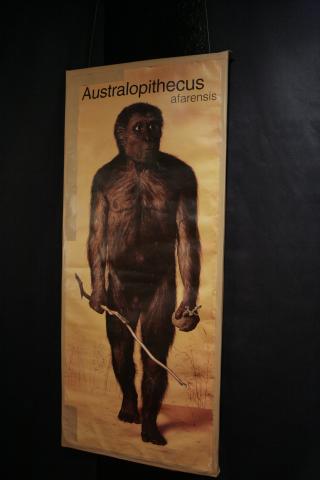 image Recreación gráfica de Lucy, Etiopía