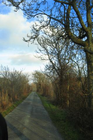 image Carretera secundaria, Sacramenia, Segovia