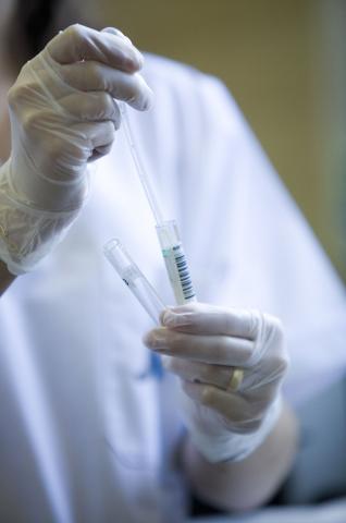 image Detalle de las manos de la trabajadora de un laboratorio en un hospital