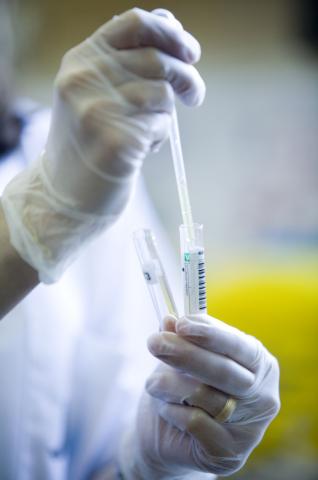 image Detalle de las manos de la trabajadora de un laboratorio en un hospital