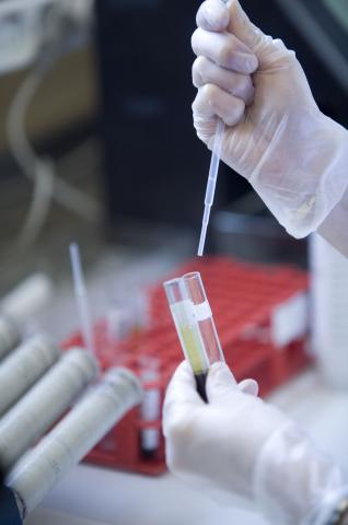 image Detalle de las manos de la trabajadora de un laboratorio en un hospital