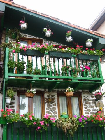 image Balcón de una vivienda con macetas y flores, Fuenterrabía, Guipúzcoa