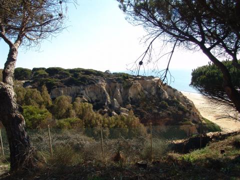 image Monte y playa en Mazagón, Huelva 