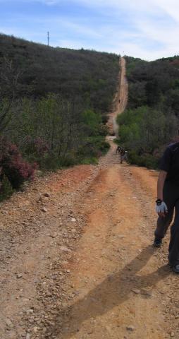 image Peregrinos en el camino entre Villafranca Montes de Oca y San Juan de Ortega, Burgos