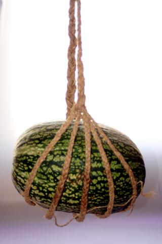 image Melonero de esparto 