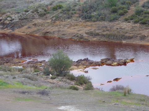 image El río Tinto, La Palma del Condado, Huelva
