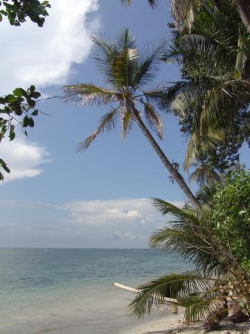 image Rincón del Parque Nacional Cahuita, Costa Rica