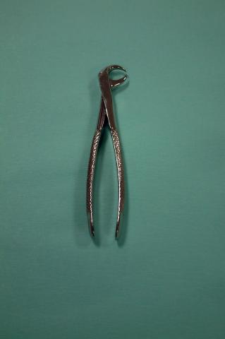 image Fórceps molares (cuerno de vaca)