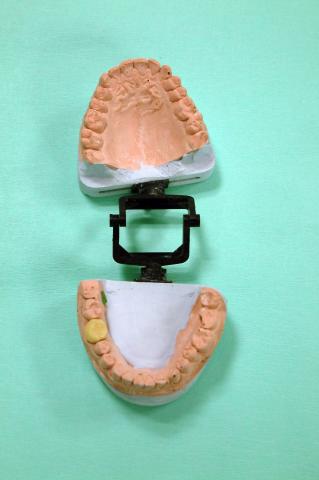 image Modelos de escayola