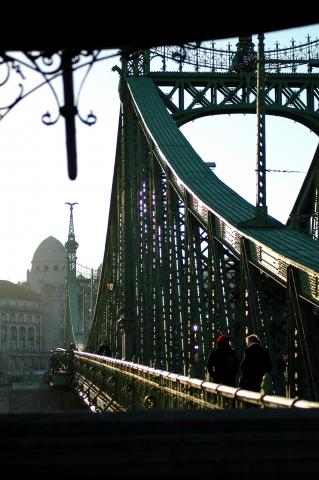 image Puente de la Libertad y baños de Gellért, Budapest, Hungría